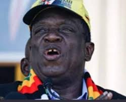 Arrests at Miss SA event over withdrawn contestant Chidimma Adetshina