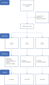 flow chart of the block randomized controlled trial of