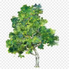 For these drawings i used a regular sketching pencil, though the same principal applies to other mediums as well. Oak Tree Drawing
