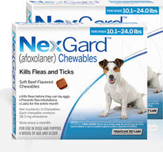 Comes in a beef flavored chew, nexgard protects your dog from fleas and ticks. Nexgard Chews For Dogs 10 1 24 Lbs 4 1 10 Kg Blue 12 Chews Sierra Pet Meds