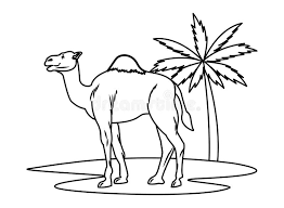 Brown animal, brown and black animal walking on desert, sand. Camel Desert Animal Cartoon Sideview In Black And White Stock Vector Illustration Of Transport Dubai 154121818