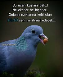 Batel Adli Kullanicinin Ozlu Sozler Panosundaki Pin Anlamli Alintilar Guzel Soz Ozlu Sozler