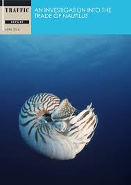 Since knowledge is power, i'll also give you tips to help you become a better consumer when visiting a salon. Pdf An Investigation Into The Trade Of Nautilus