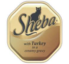 Sheba Cat Food Tray Fine Recipes Turkey In White Sauce 100g Pack Of 16 Read More Details By Clicking On The Image Ca Cat Food Food Trays Turkey Chicken