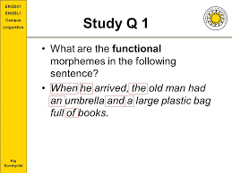 In linguistics, functional morphemes, also sometimes referred to as functors, are building blocks for language acquisition. Chapter 7 Morphology And Chapter 9 Syntax Ppt Video Online Download
