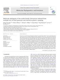 Image result for Droguetia ambigua