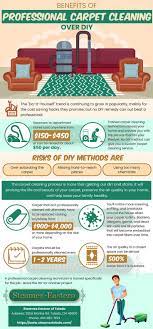 Benefits Of Professional Carpet Cleaning Over Diy Professional Carpet Cleaning How To Clean Carpet Professional Carpet
