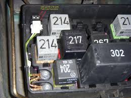 Image result for svrab na k%u016F%u017Ei