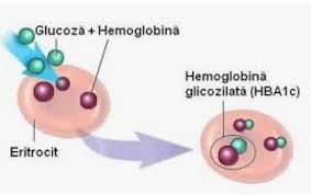 Peste această valoare putem spune că există o tulburare de glicoreglare o valoare crescută a hemoglobinei glicate indică hiperglicemie persistentă și control slab al diabetului în ultimele 3 luni, este asociată cu un risc crescut. Andreea Asmed Hemoglobina Glicozilata Glicata Ce Facebook