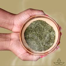 Image result for Hua gabonii