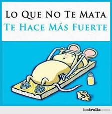 Resultado de imagen para IMAGENES GRACIOSAS