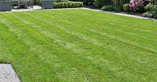 Check spelling or type a new query. 7 Lawn Care Tips Lovethegarden