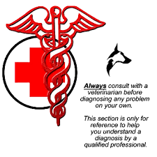 Image result for Hyperviscosity Syndrome