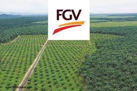 These include felda plantations sdn bhd, which carried out the commercial planting for the land not utilised under the settlers' scheme. No Notice From Shareholders On Any Two Part Plan To Split Up Felda And Fgv The Edge Markets
