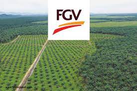 Felda global ventures holdings bhd, a plantation operator, downstream products and refined sugar produce is scheduled to be listed in main market of bursa malaysia on 28th june 2012. No Notice From Shareholders On Any Two Part Plan To Split Up Felda And Fgv The Edge Markets