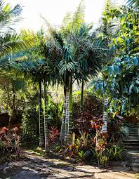 Will Studd S Sub Tropical Wonderland In Byron Bay The Design Files Australia S Most Popular Design Blog Plants Plant Life Garden Design