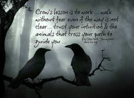 Pin By Jamie Sweettart Smith On Corvids Wolves Crow Black Bird Raven