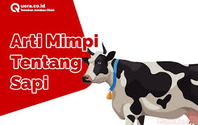 Mimpi ini menandakan si pemimpi akan mendapatkan berbagai ujian serta cobaan yang berat dalam kehidupannya. Arti Mimpi Tentang Sapi Menurut Islam Dan Primbon Quora