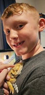 Building a separate play area for bearded dragons?