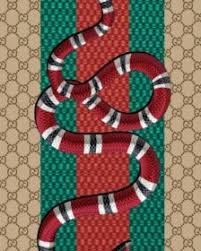 Find the best gucci logo wallpaper on getwallpapers. Gucci Snake Wallpapers Posted By Ethan Sellers