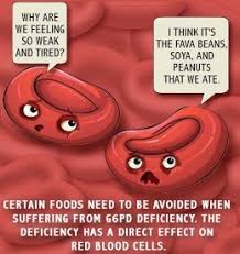Red blood cell destruction can be triggered by infections, certain foods (such as fava beans), and certain medicines, including Aastha Jessica G6pd Deficiency