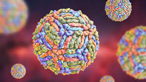 West Nil Virus In Los Angeles Angst Vor Neuer Pandemie Tropen Virus In Den Usa Nachgewiesen News De