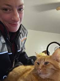 Lost Dog in East Peoria, Illinois