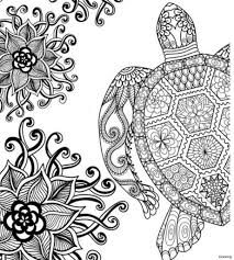 The largest turtle is the leatherback sea turtle, it can weigh over 900 kg! Coloring Sheet Sea Turtle Mandala Novocom Top