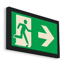 Une défaillance n'altère que faiblement le dispositif d'éclairage de sécurité. Bloc Autonome D Eclairage De Securite Baes D Evacuation Noir 270