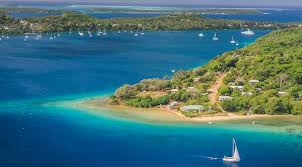 A lot of land tongan foods are made up of different root crops, it's a substitute for your common potatoes. Mahoaa Ufi Local Sweet Potato From Tonga