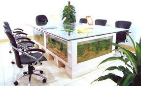 Coffee Table Aquariums New York Aquarium Coffee Table Fish Tank Table