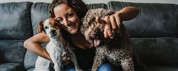 As a pet sitter, taking out pet sitting insurance is a great step towards safeguarding your business…let's take a look at some. Do Pet Sitters Boarders Need Public Liability Insurance Marsh