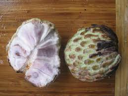 Anona synonyms, anona pronunciation, anona translation, english dictionary definition of anona. Strange Fruit The Amazing Anona El Salvador From The Inside