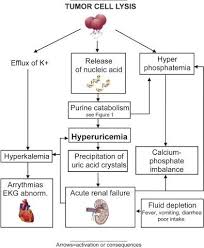 Pathogenesis Of Tumor Lysis Syndrome Pediatric Nursing Nurse Teaching Oncology Nursing
