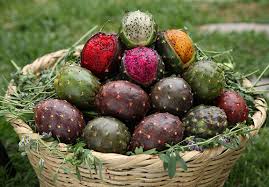 Contiene vitaminas, minerales, ácidos grasos y está muy buena. 5 Tipos De Tunas Mexicanas Las Conocias Mexico Desconocido