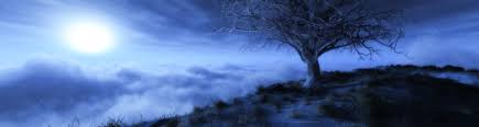 Image result for digital art desktop wallpaper