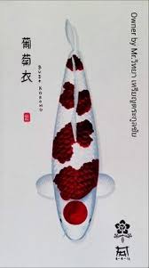 Download animasi gratis download 400 gambar animasi ikan cupang paling baru gambar animasi. Huda Ahmad Hudaahmad1922 Profil Pinterest