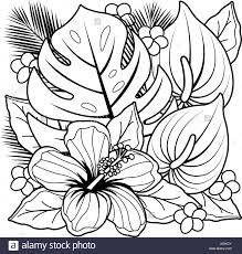 Resultats Google Recherche D Images Correspondant A Https C8 Alamy Com Compfr Jk0kcy Plantes Tropicales Et De Fleu Coloriage Fleur Coloriage Coloriage Nature