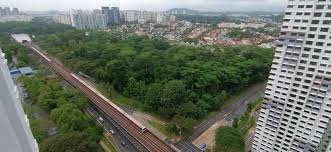That prompted nature groups to raise concerns about developments, citing the need to protect animal and plant species. Dover Ulu Pandan Forest Home Facebook