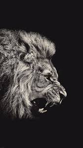 Lion Wallpaper Iphone 7 Jpg 1 242 2 208 Pixels Lion Wallpaper Iphone Lion Wallpaper Tiger Wallpaper Iphone