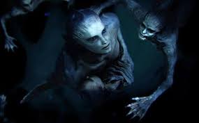 Image result for real mermaid