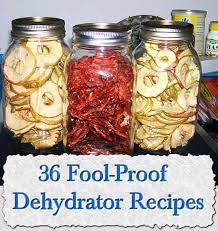 36 Fool Proof Dehydrator Recipes Livinggreenandfrugally Com Dehydrator Recipes Canning Recipes Recipes