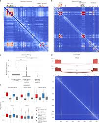 Image result for tbn:NPPRMe2lt8--qM::gallery.dll3.com/data/media/5/mw40_L.jpg