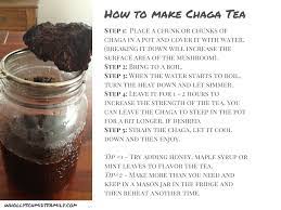 Chaga mushroom tea has awesome health benefits. 30 Chaga Ideas Chaga Chaga Mushroom Chaga Tea