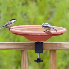 Bird Bath For Deck Railing Buy The Deck Mount Bird Bath At Duncraft Com 100 Satisfaction Guaranteed At Your Wild Bird Superstore Bird Bath Diy Bird Bath Backyard Birds