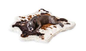 Check spelling or type a new query. The Best Gifts For A Dog Lover Dujour