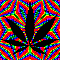 Maybe you would like to learn more about one of these? Maconha Marihuana Marijuana Gif Find On Gifer