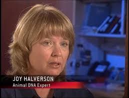 Hair of the Dog (2003)