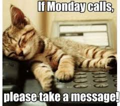 75 Funny Monday Memes For The Week Cats Cat Memes Funny Cats