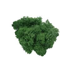 Artificial Moss Flower Wall Landscape